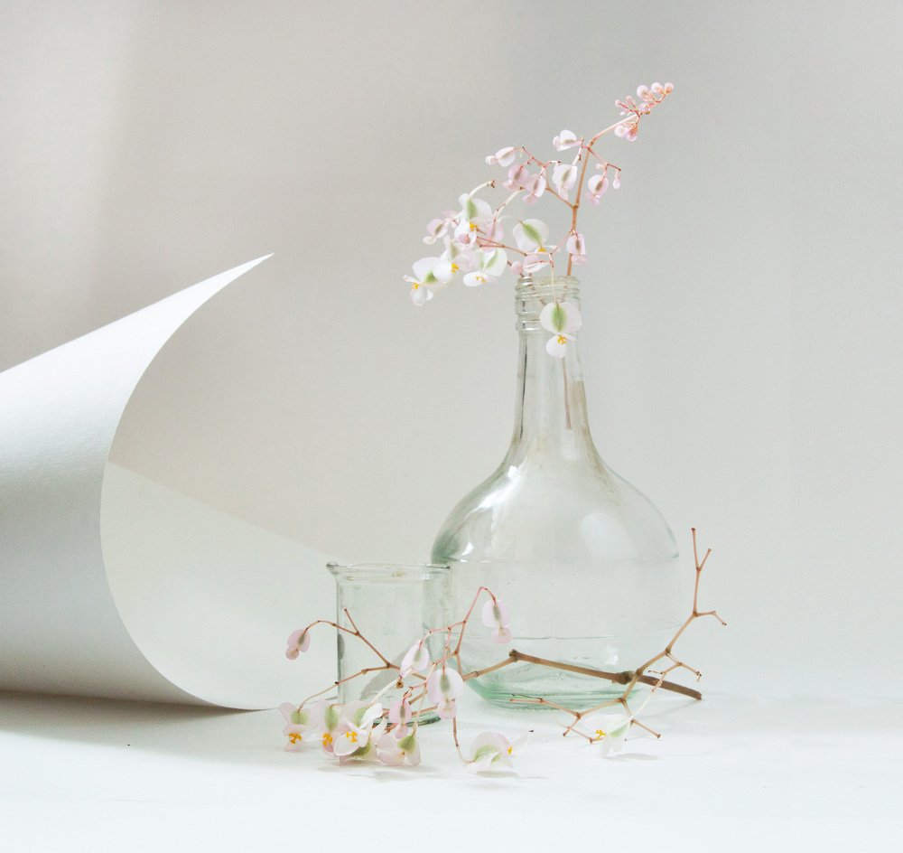 Photograph by Светлана