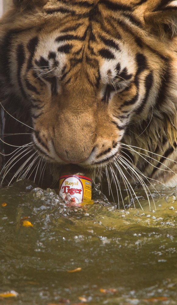 Photograph by Nahyan Nihal