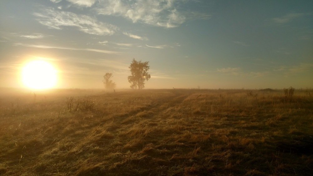 Photograph by The Nudes