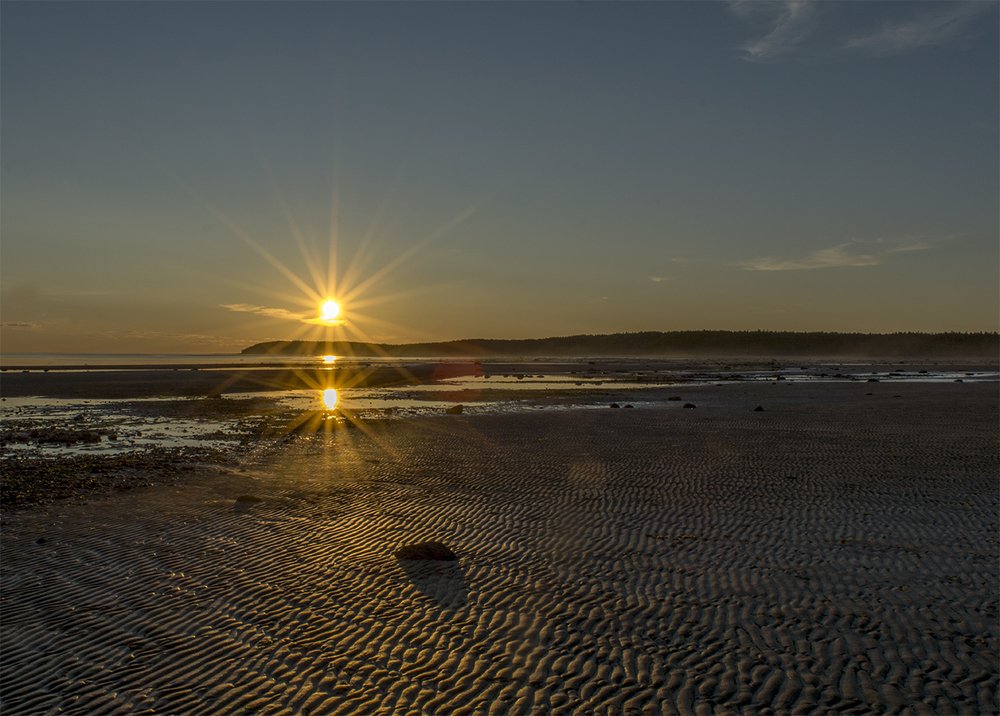 Photograph by Марина Никулина