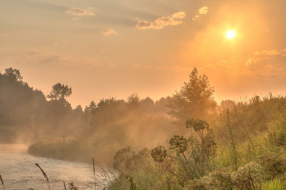 Photograph by Алексей Середенин