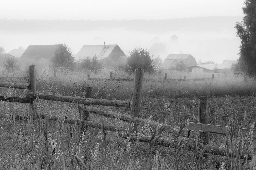 Photograph by Алексей Середенин