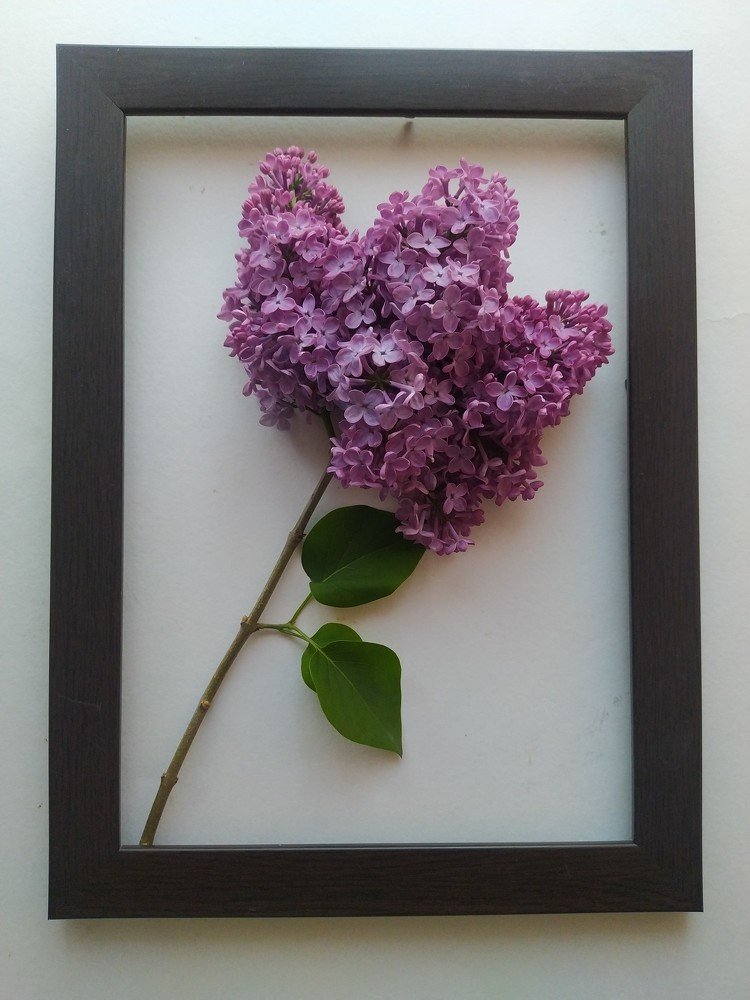 Photograph by Евгения Коркунова