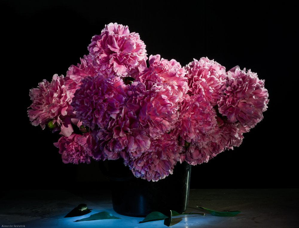 Photograph by Александр