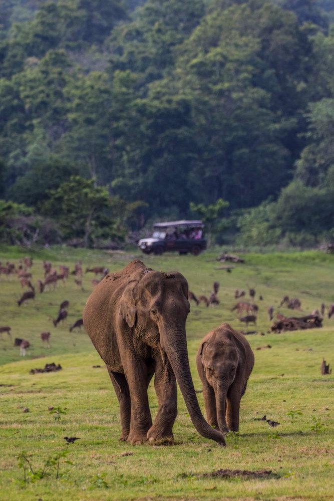 Photograph by Dinesh