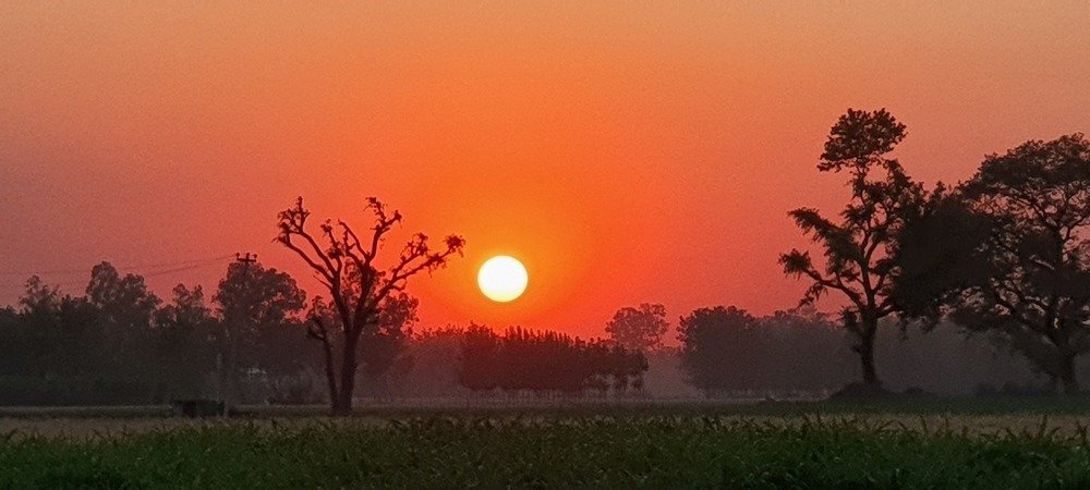 Photograph by Anil Neti