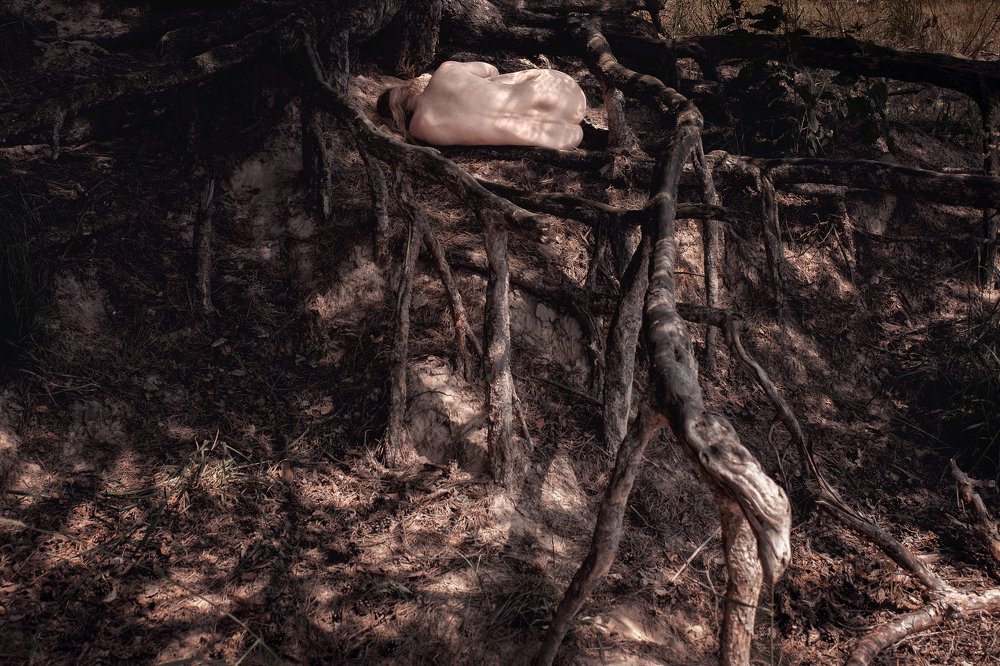 Photograph by Юлия Шестопалова