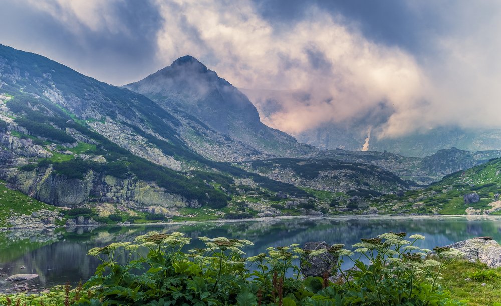 Photograph by Venelin Dimitrov