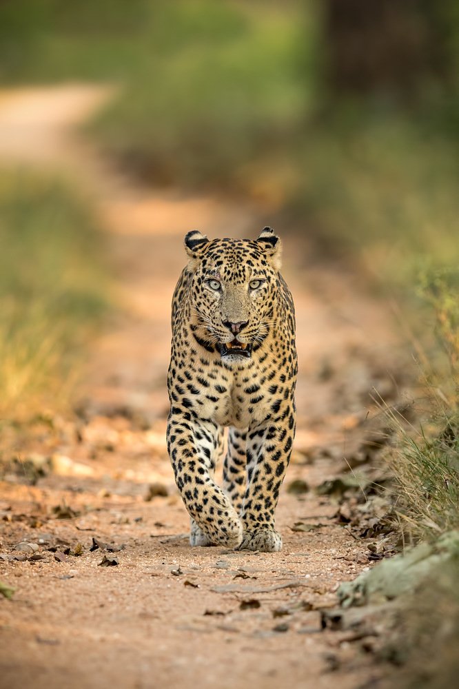 Photograph by Vishwanath Mukunda