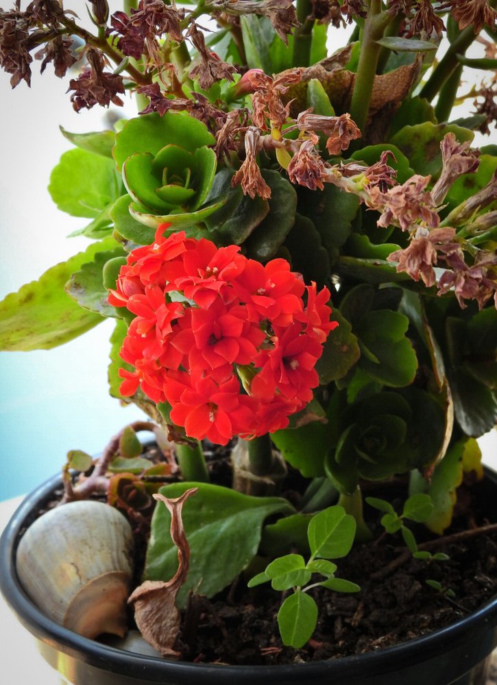 Photograph by Lia Pereira