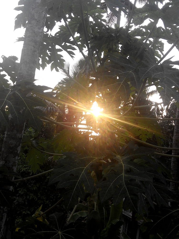 Before sunset