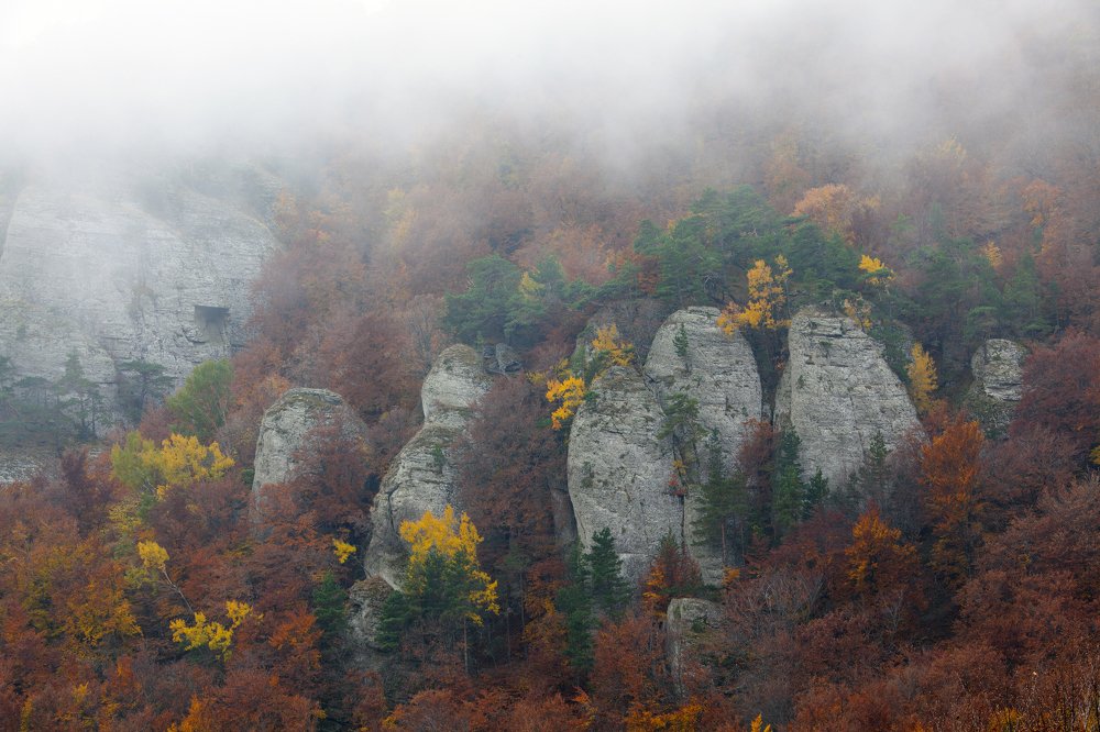 Photograph by Андрей Устинович