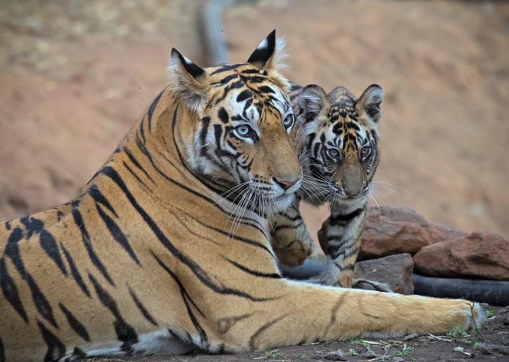 Photograph by Sandip Patil