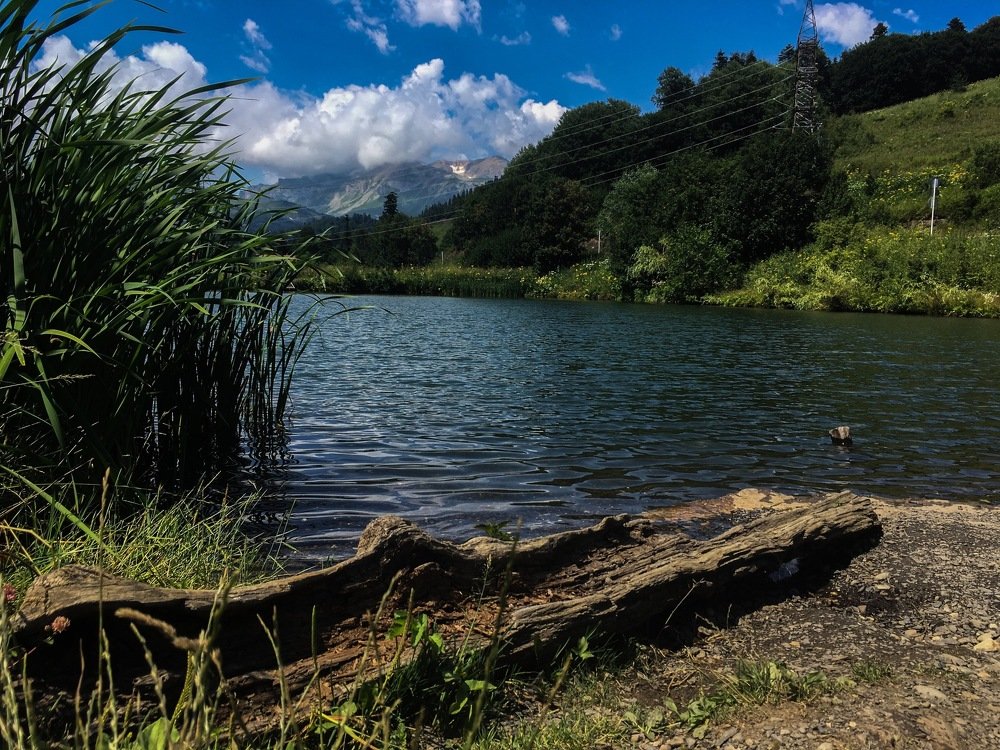 Photograph by Полина Синельникова