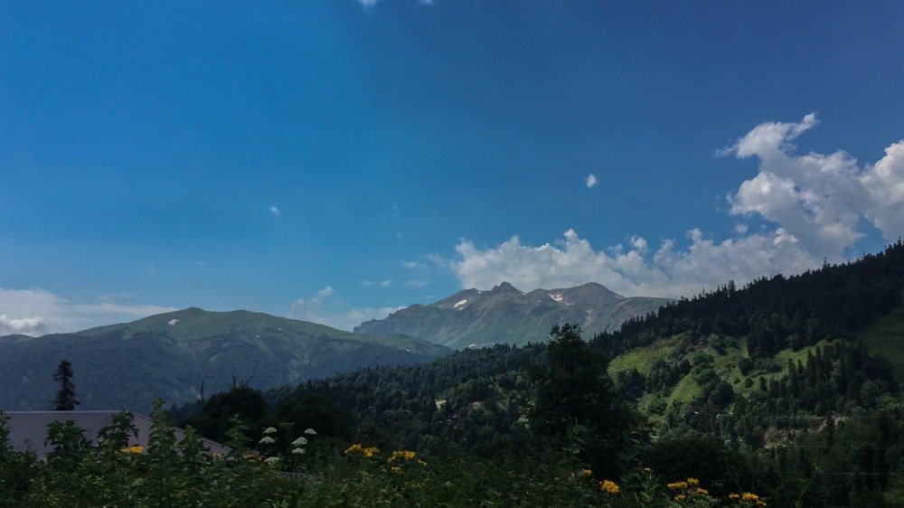 Photograph by Полина Синельникова