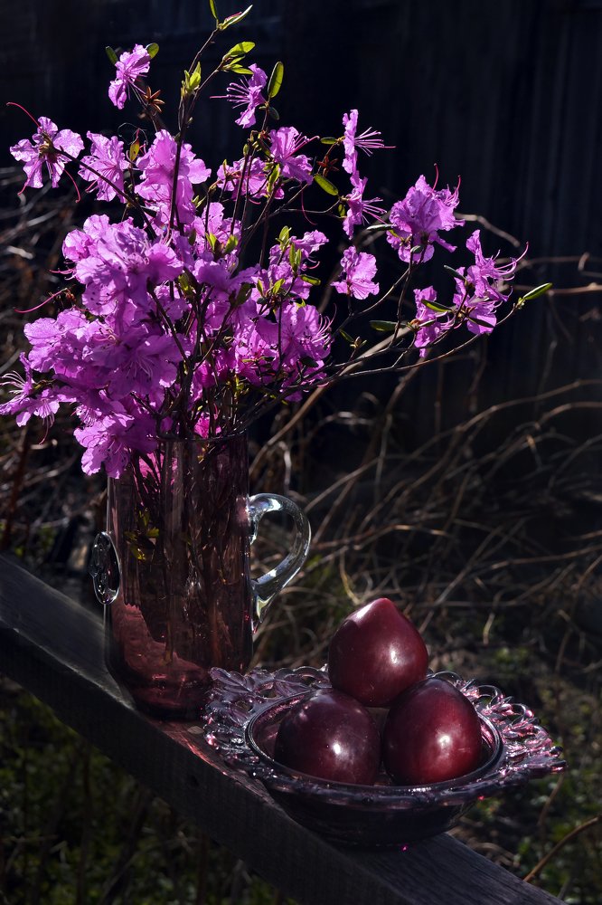 Багульник и сливы