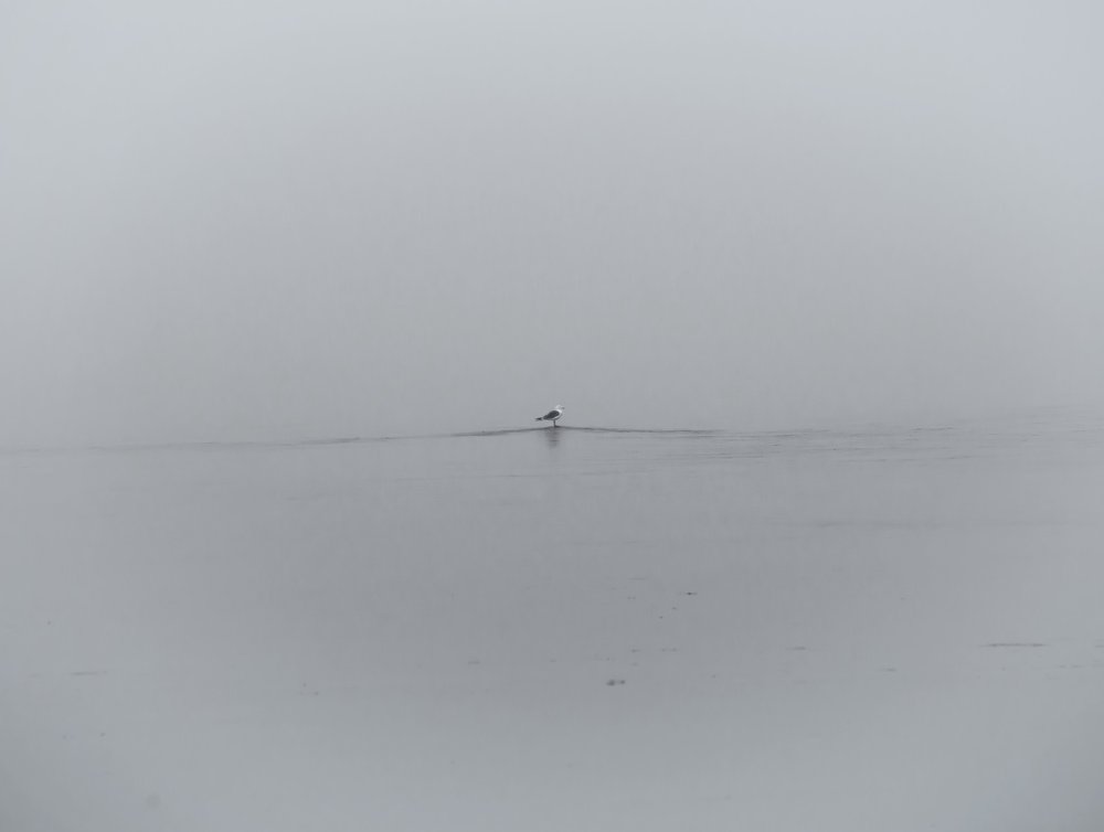 Photograph by Емельянов Саша