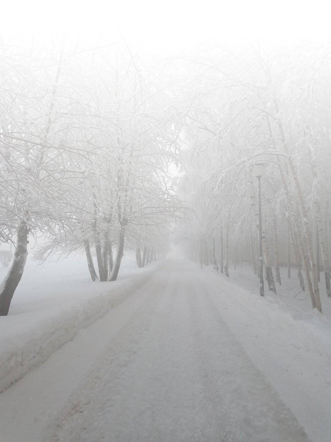 Photo #4825440