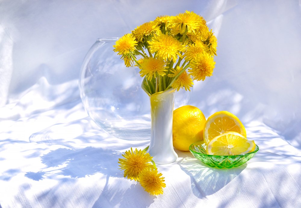 Одуванчики