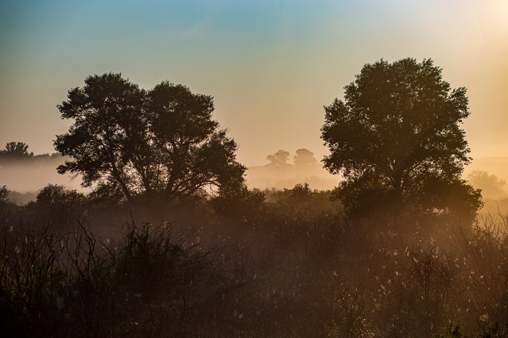 Photograph by Равиль Яхин