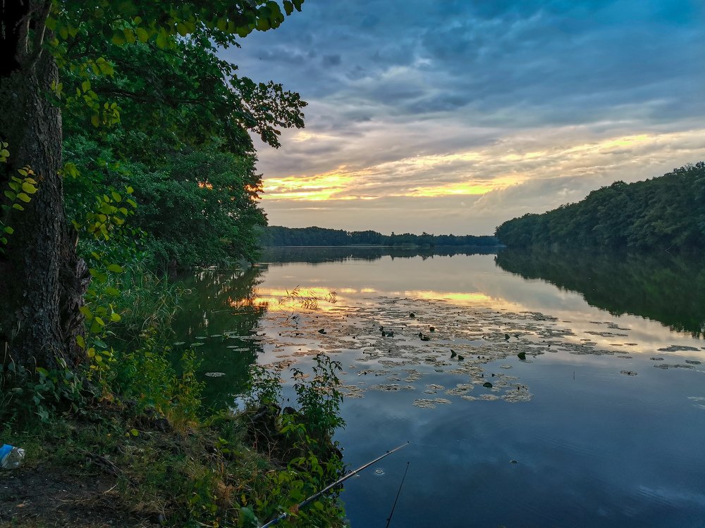 Photograph by Данил Батурин