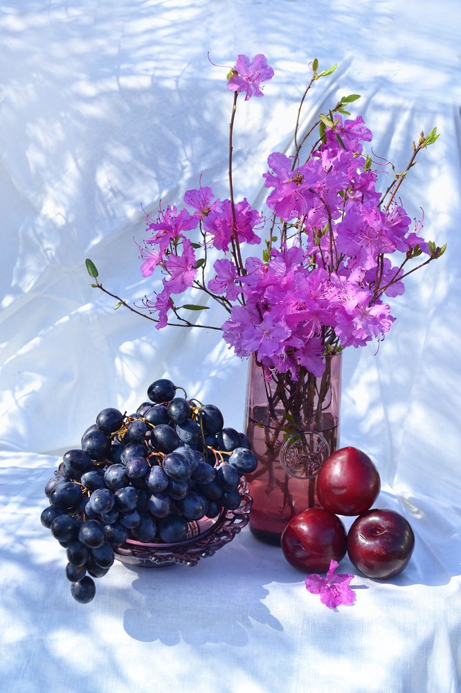 Багульник и сливы