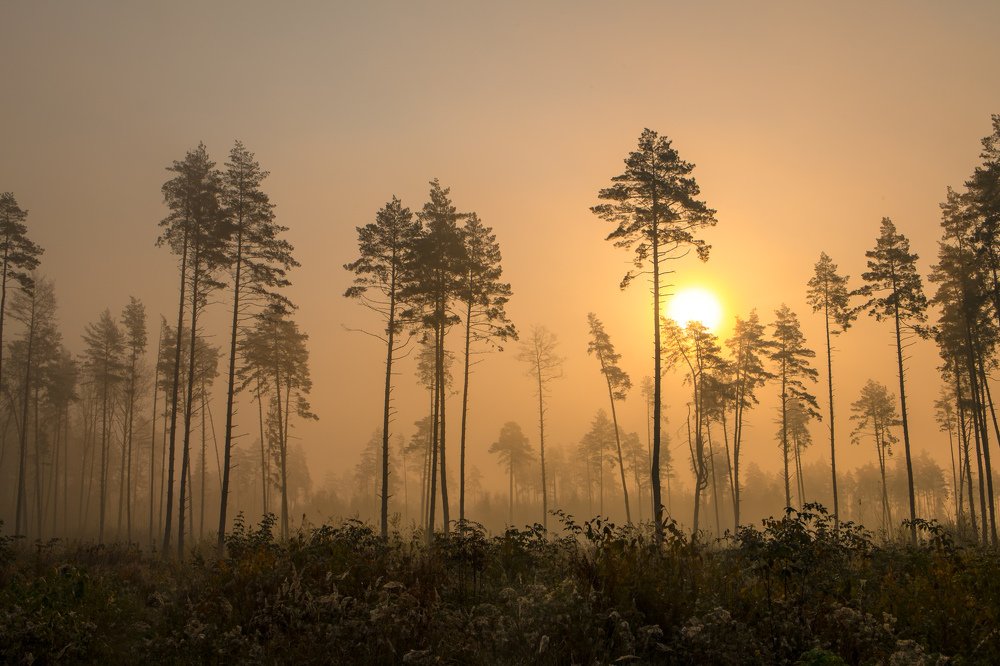 Photograph by Александр Евгеньевич Есликов