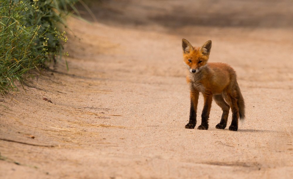 Photograph by Александр Евгеньевич Есликов