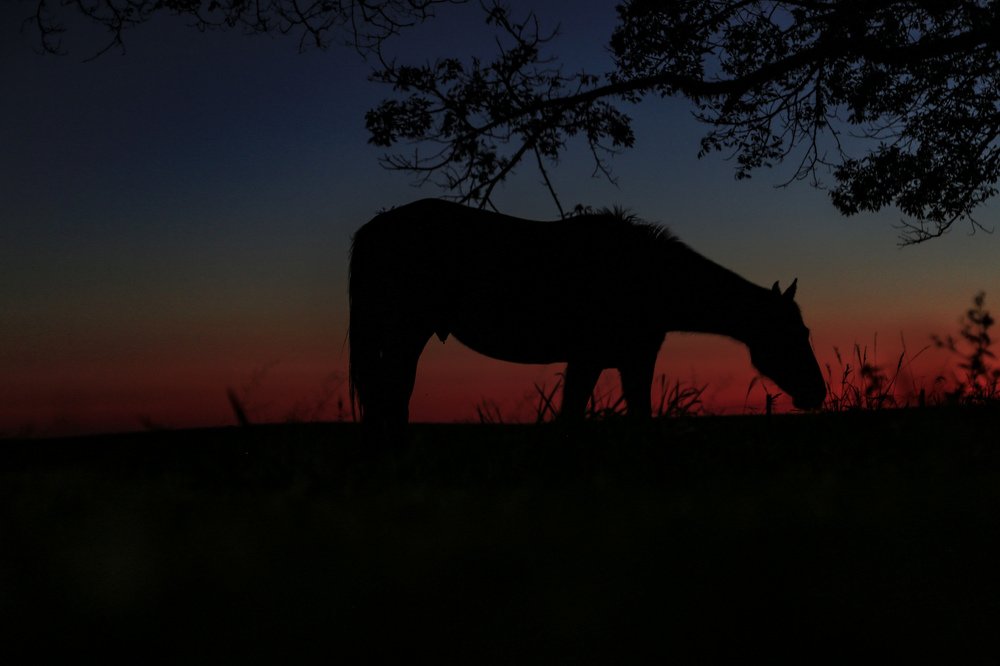 Photograph by Fabio de Carvalho