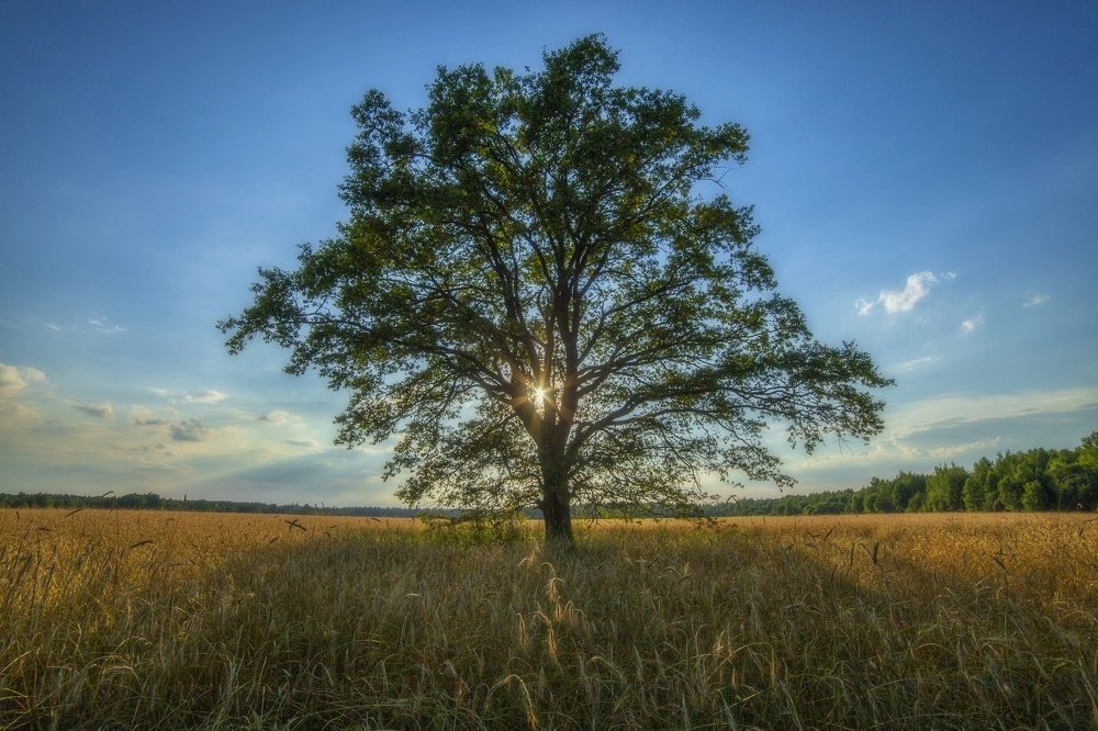 Photograph by 