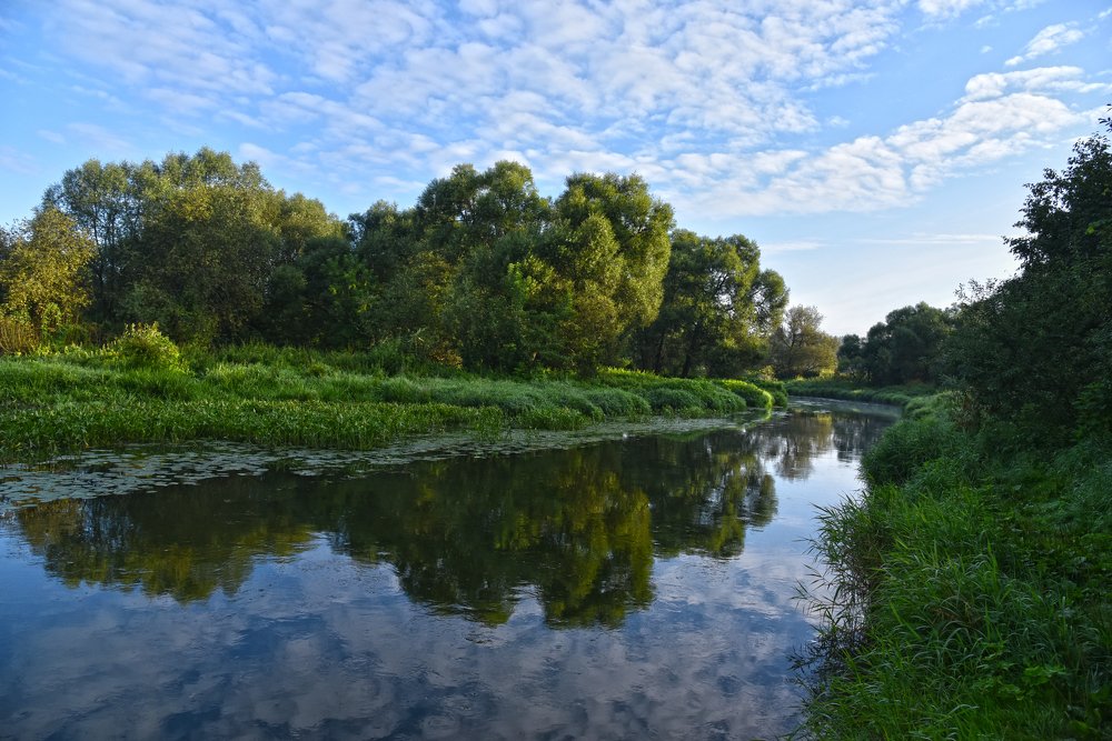 Фотография автора Коротков Алексей
