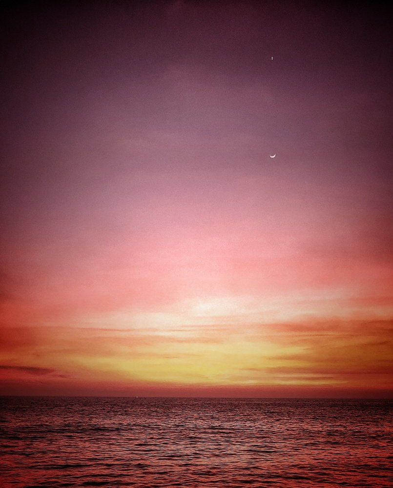 Photo #4825806