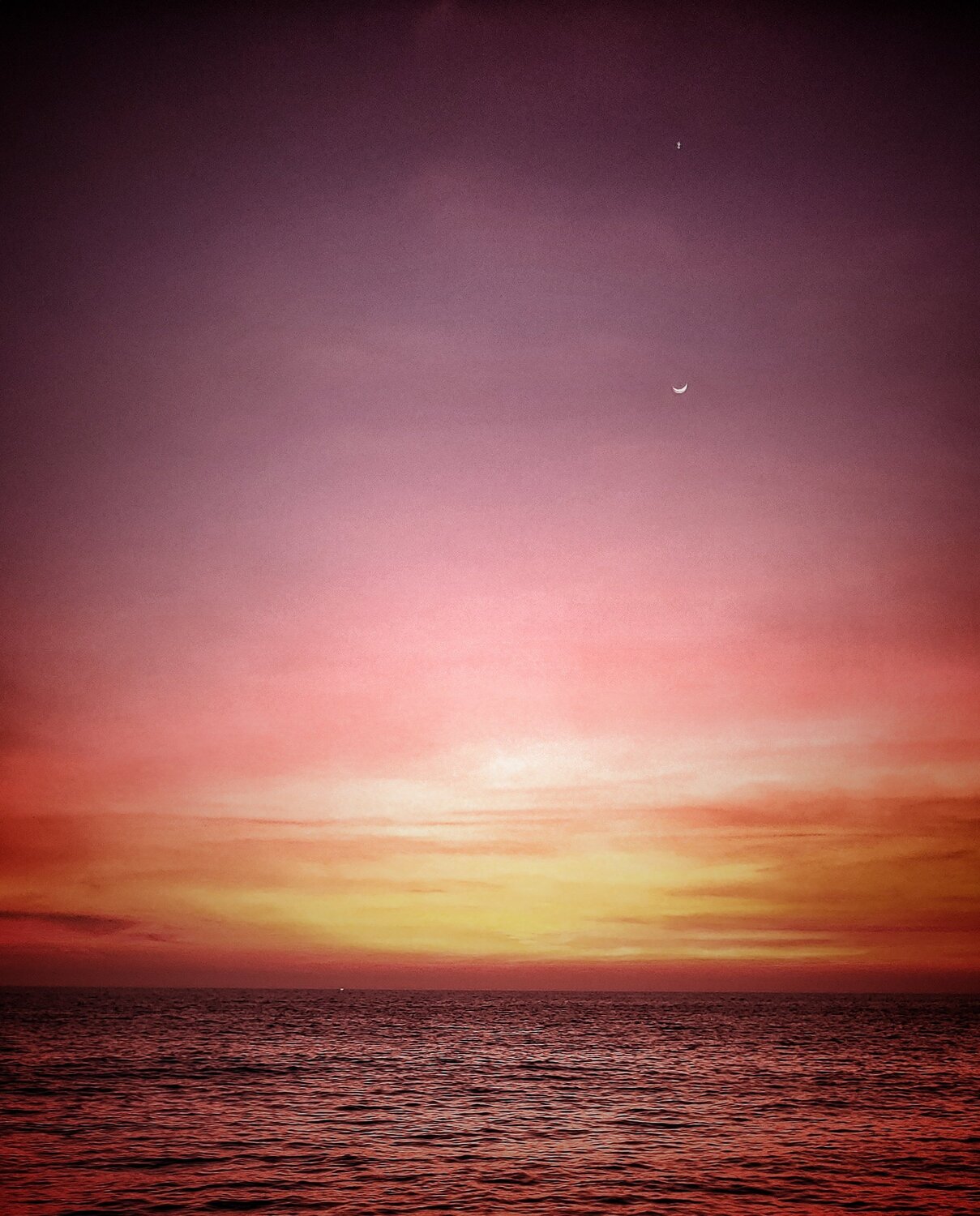 Photo #4825806