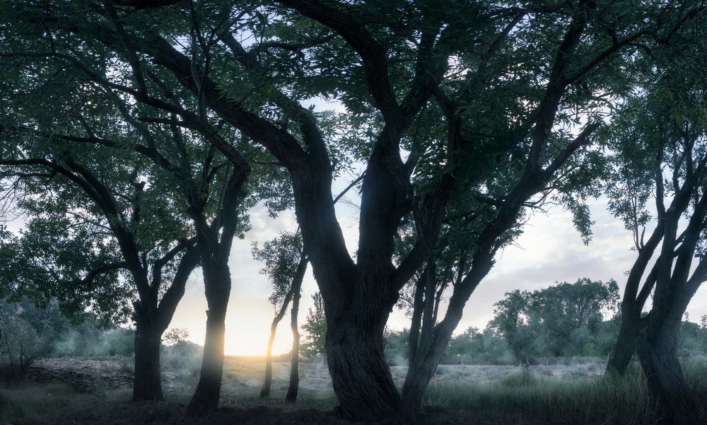 Photograph by Nima Almasi