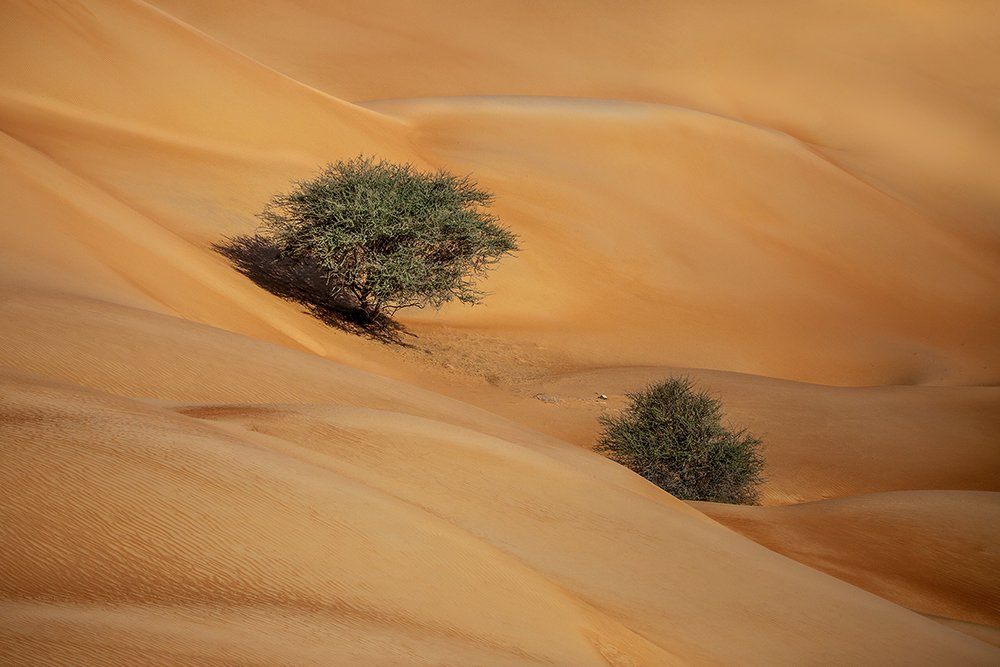 Photograph by Amal Alameer