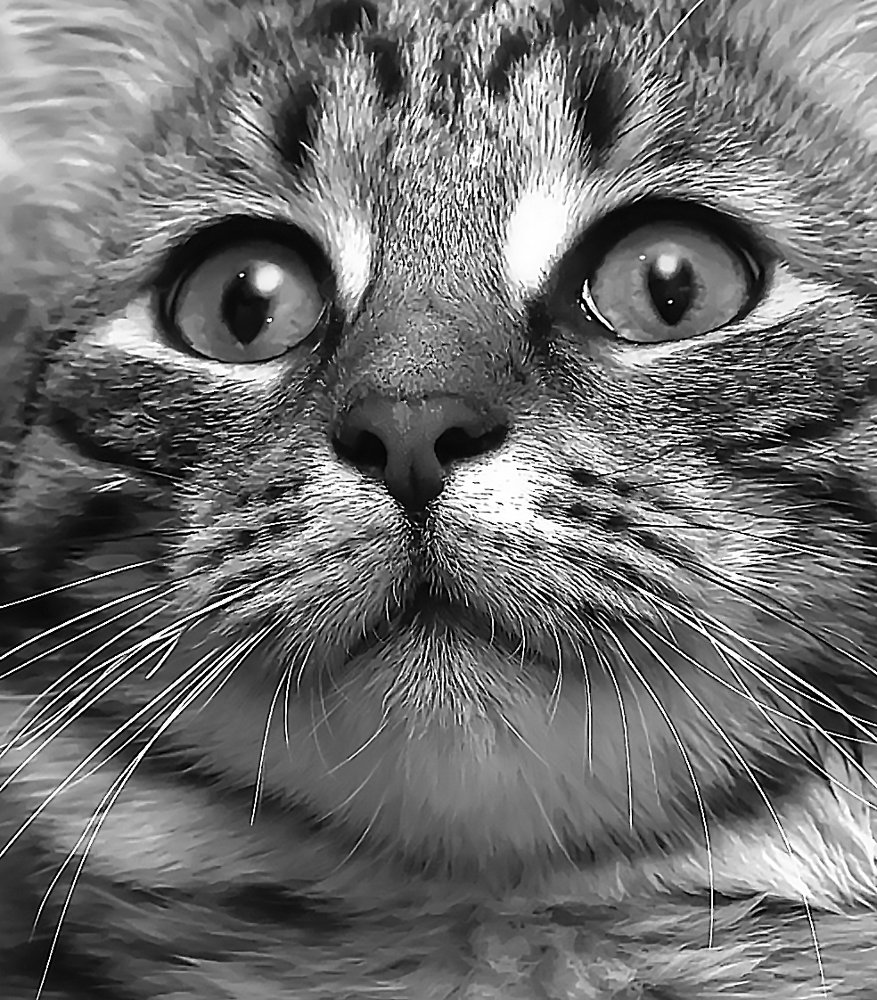 Photograph by Анна Кривицкая