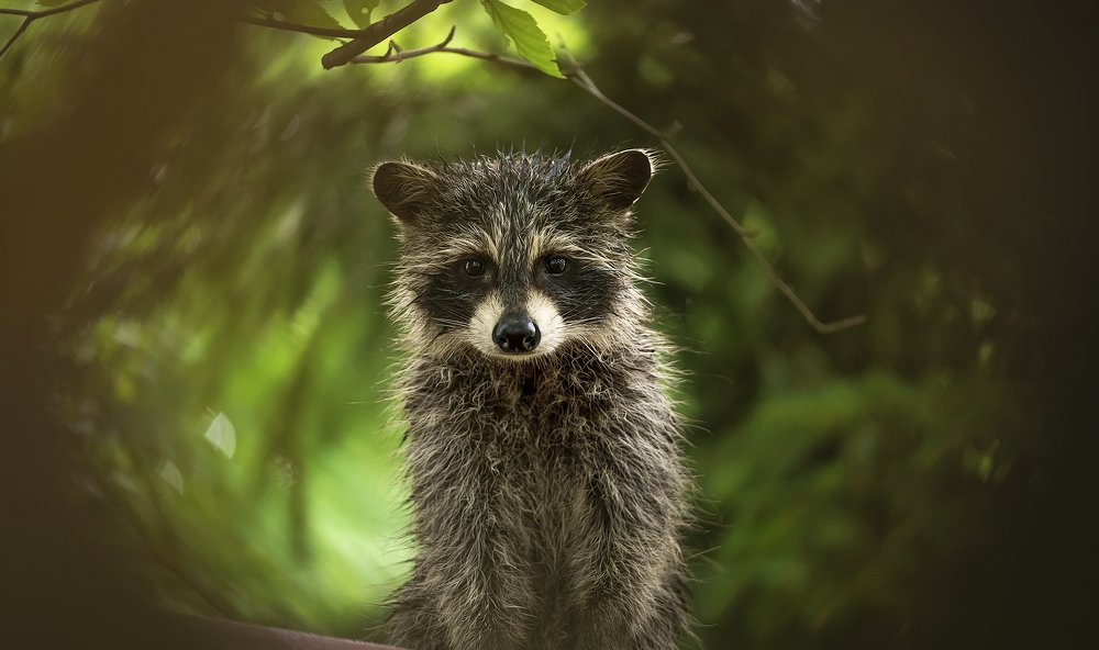 Photograph by Jelena Levsina