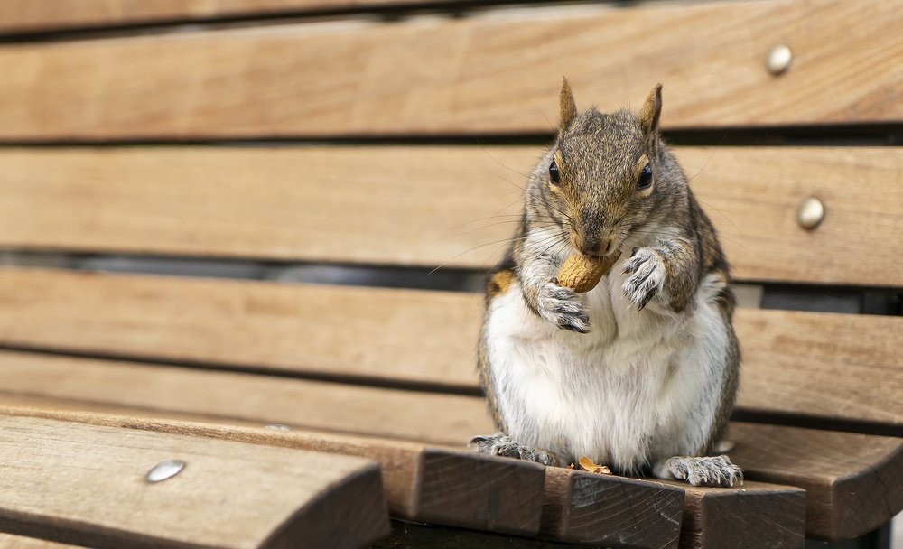 Photograph by Jelena Levsina