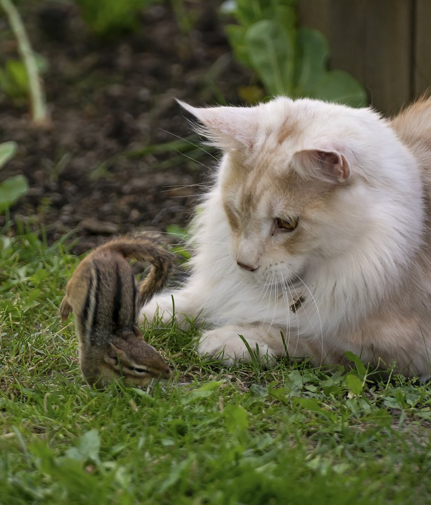 Photograph by Jelena Levsina