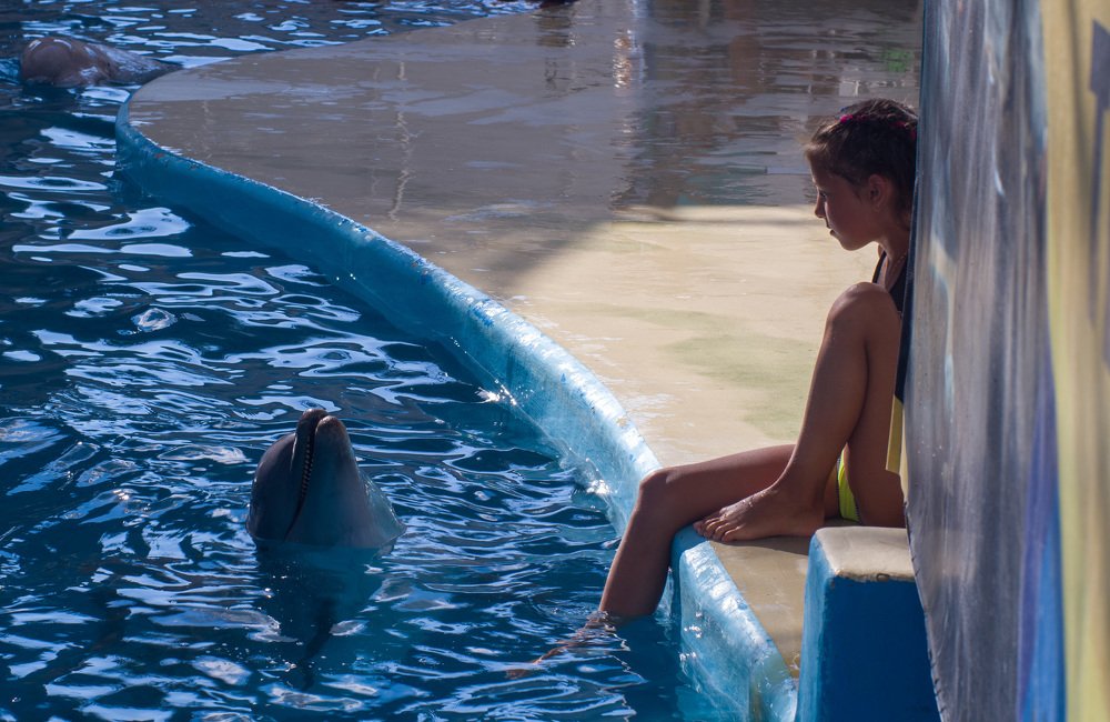 Любовь с первого взгляда