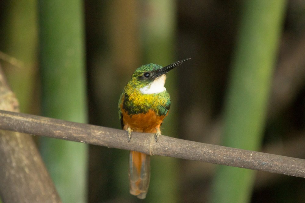 Фотография автора Liliana