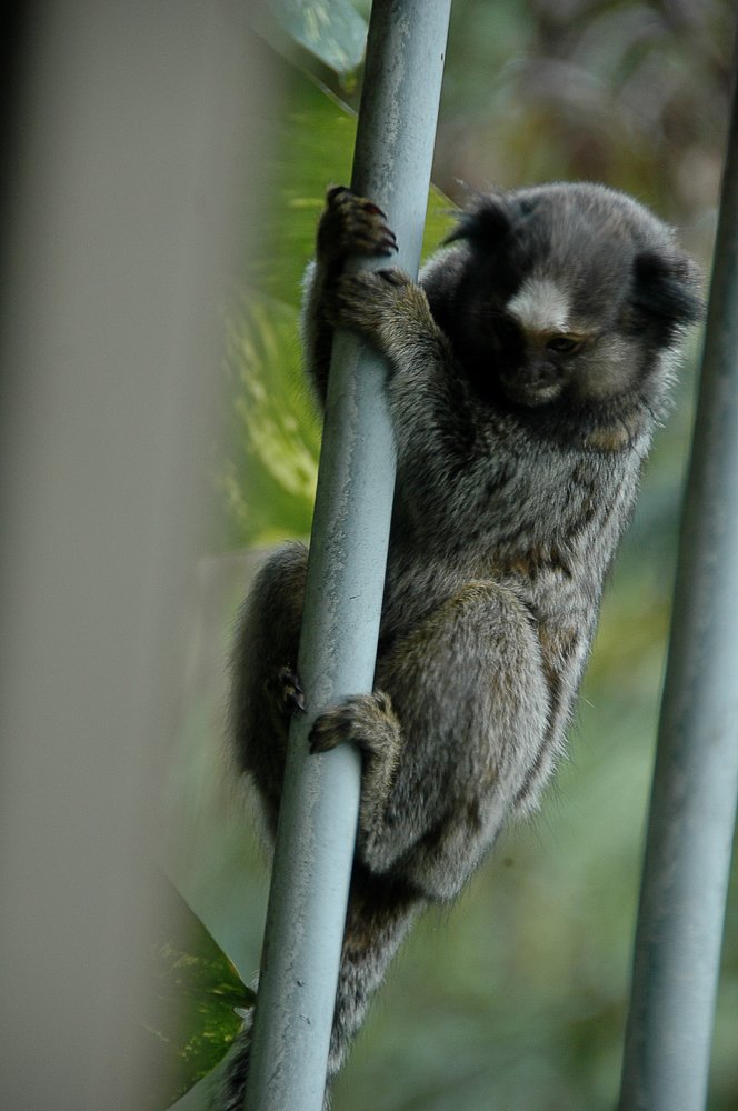 Photograph by Francisca Vilarinho Cardoso