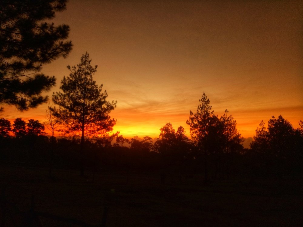 Photograph by Mahendra Nugraha