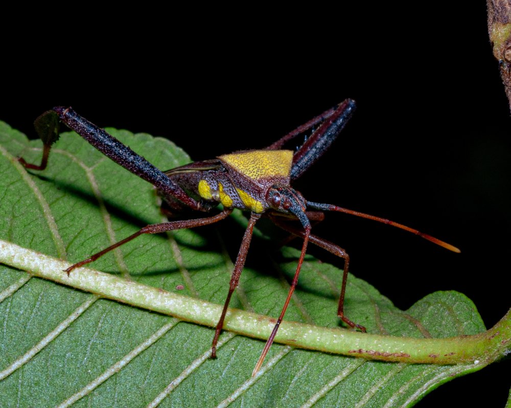 Photograph by josue quijada