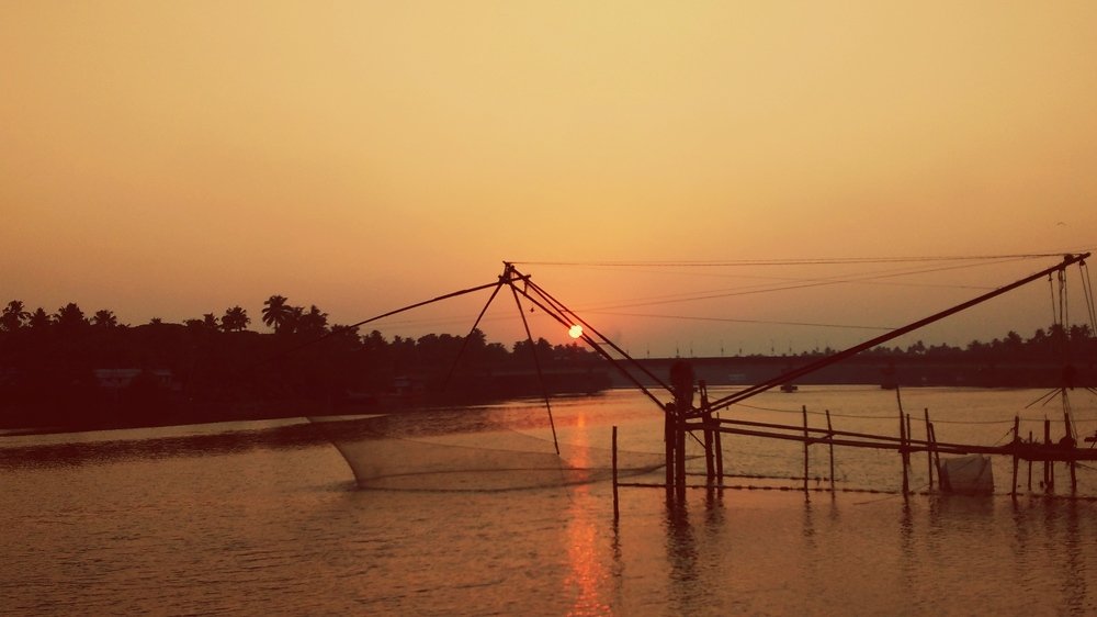 Photo #4826243