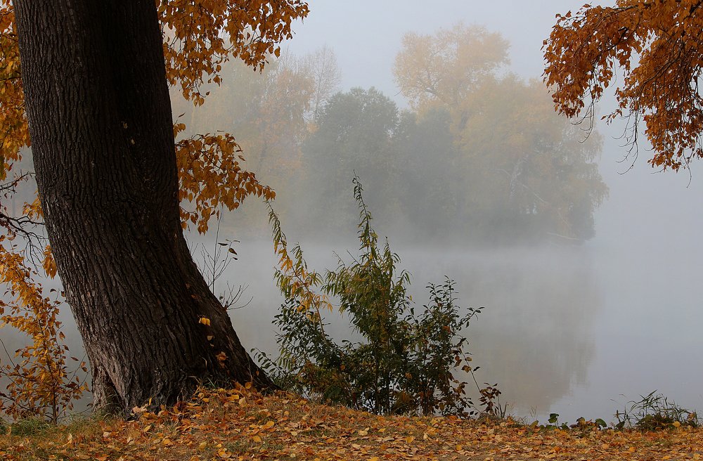 Photograph by Зоя Быкова