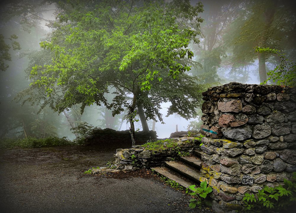 Photograph by Александр Подва