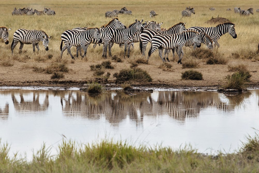 Photograph by Alina Mitrea