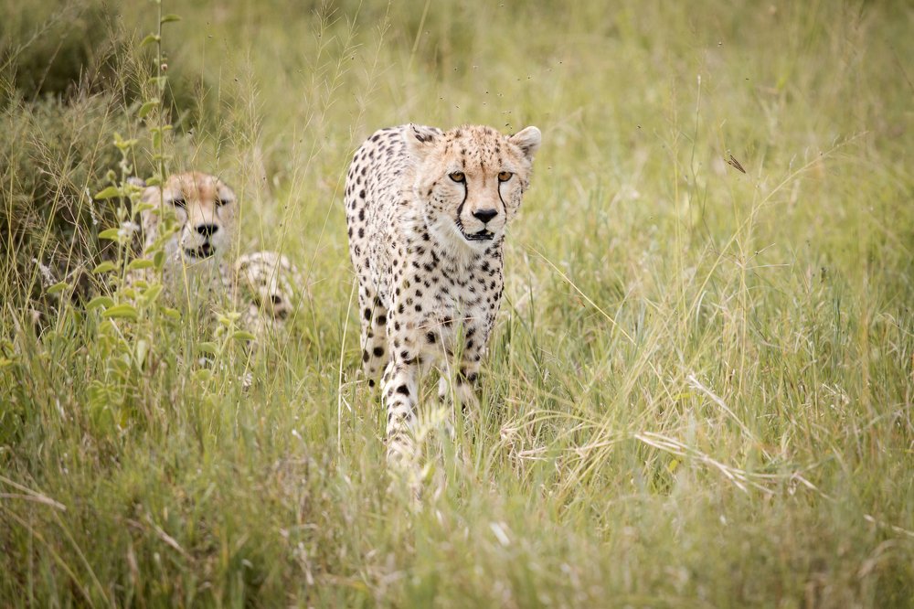 Photograph by Alina Mitrea