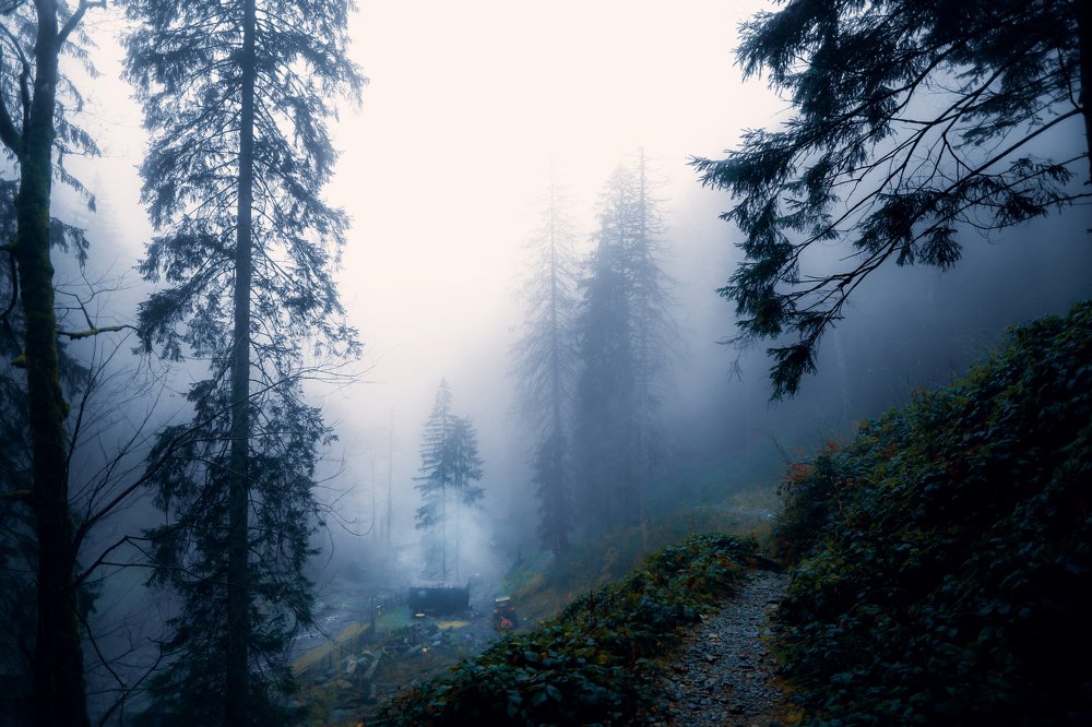 Photograph by Alina Mitrea